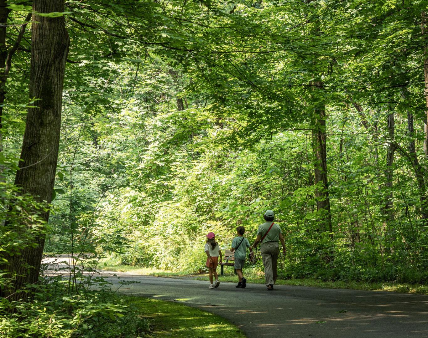 Group walking on trail in the forest, Northville MI